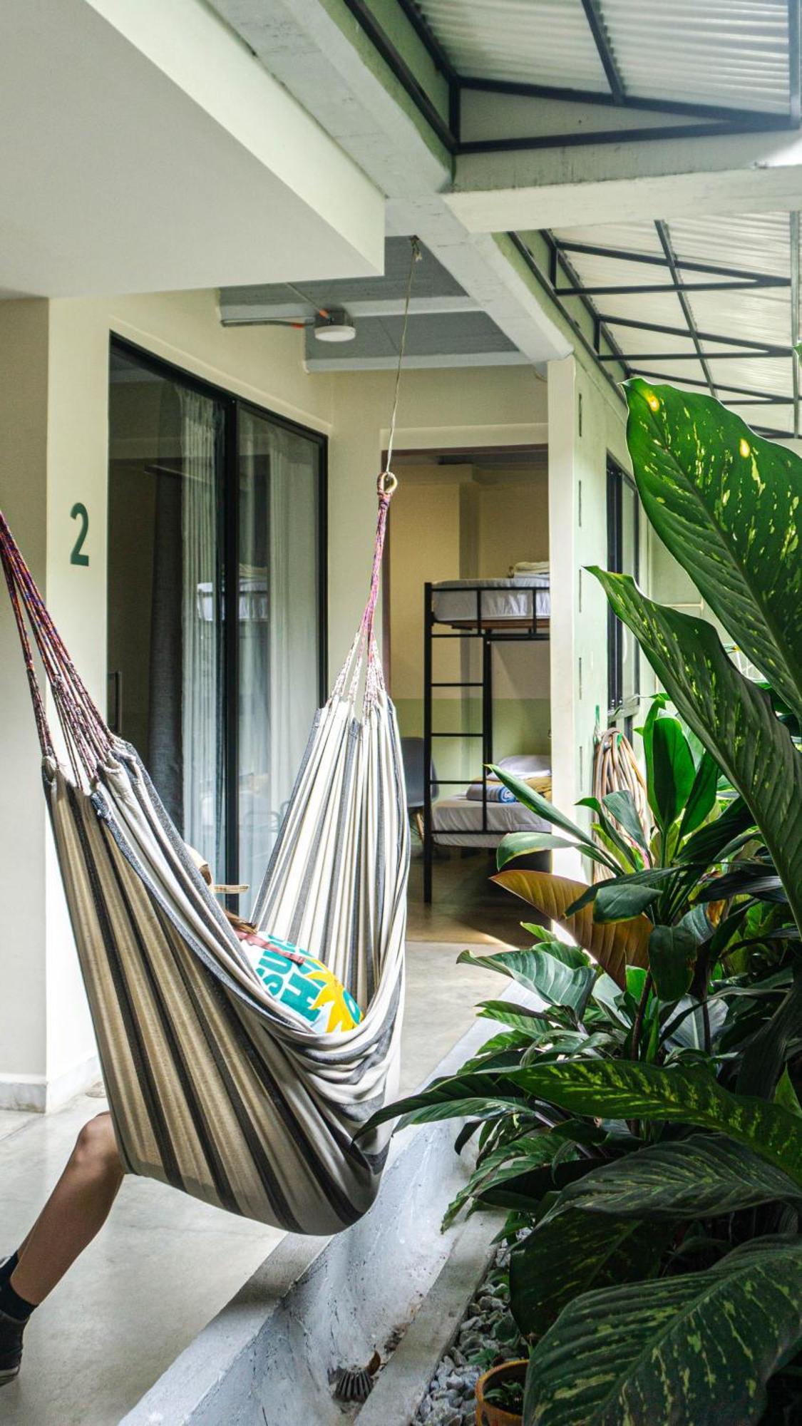 Bed and breakfast Selva House Medellín
