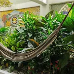 Selva House